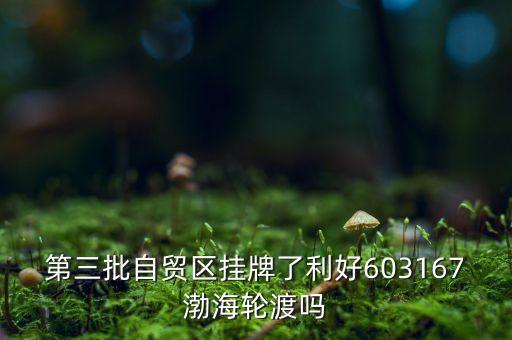 渤海輪渡有什么利好，請問一下煙臺勃海輪渡這個單位怎么樣呢三管輪工資是多少呢實習