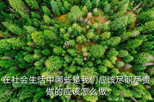 在什么什么方面盡職者，在社會(huì)生活中哪些是我們應(yīng)該盡職盡責(zé)做的應(yīng)該怎么做
