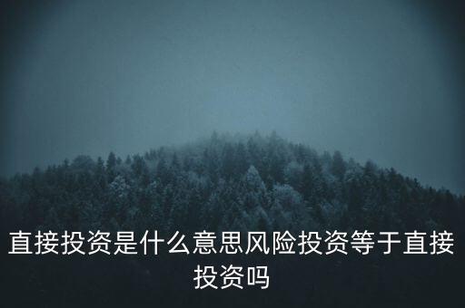 直接投資是什么意思風險投資等于直接投資嗎