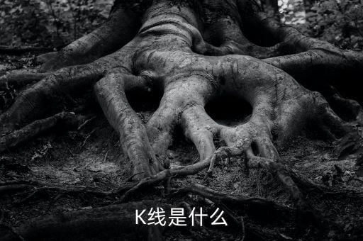k線又稱什么，K線是什么