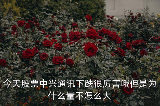 中興通訊為什么不漲，中訊通信股票為什么1個月不上漲