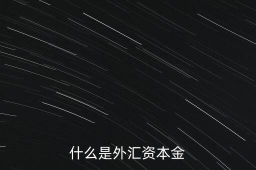 什么是外匯資本金
