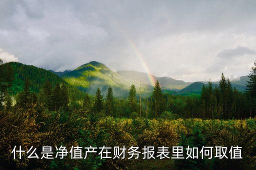 什么是凈值產(chǎn)在財(cái)務(wù)報(bào)表里如何取值