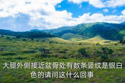 什么是銀十條，我想收藏些純銀銀條什么的 各位懂行情的人覺得我收藏這個有必要么
