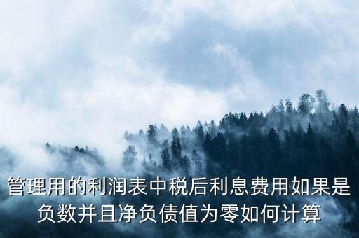 管理用的利潤(rùn)表中稅后利息費(fèi)用如果是負(fù)數(shù)并且凈負(fù)債值為零如何計(jì)算