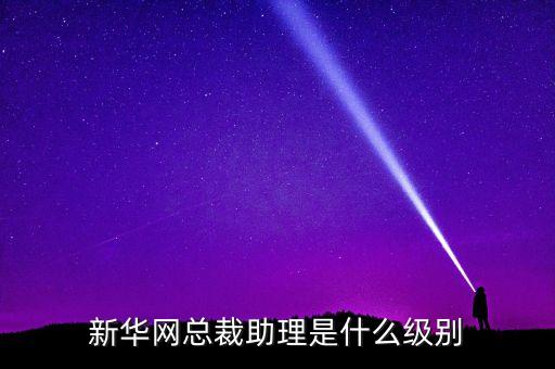 人民網(wǎng)總裁什么級(jí)別，人民網(wǎng)總裁廖玒被查是什么原因廖玒為什么被查 廖玒簡(jiǎn)歷背景資料