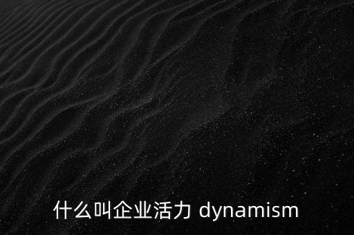 什么叫企業(yè)活力 dynamism