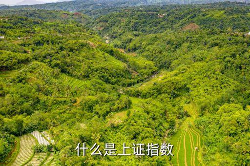 什么是上證指數
