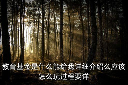教育基金的風(fēng)險是什么，交兒童教育基金有沒有風(fēng)險