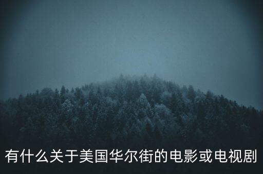 有什么關于美國華爾街的電影或電視劇