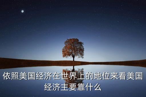依照美國經(jīng)濟在世界上的地位來看美國經(jīng)濟主要靠什么