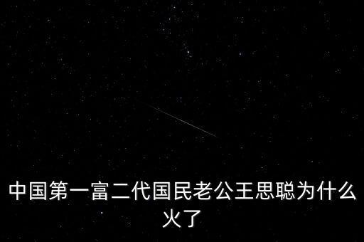 中國第一富二代國民老公王思聰為什么火了