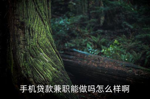 手機貸款兼職能做嗎怎么樣啊