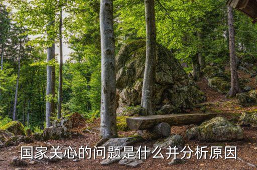 國(guó)家關(guān)心的問(wèn)題是什么并分析原因