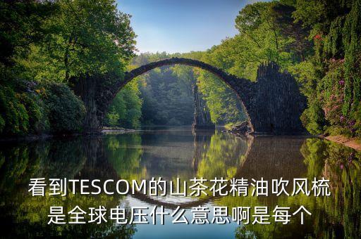 看到TESCOM的山茶花精油吹風(fēng)梳是全球電壓什么意思啊是每個(gè)