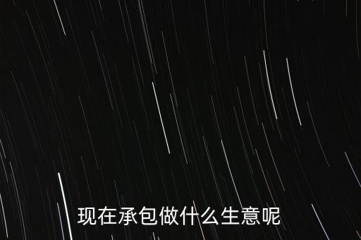現(xiàn)在承包做什么生意呢