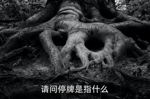 請問停牌是指什么
