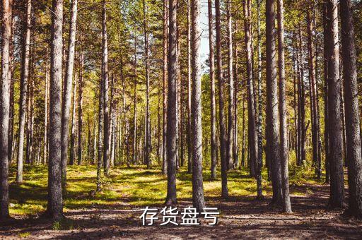 存貨盤(pán)虧