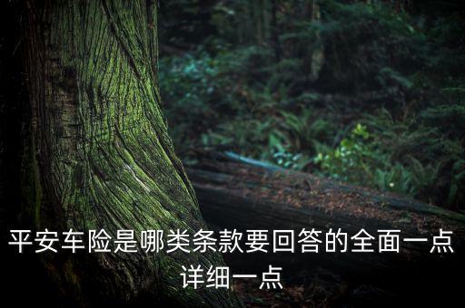 平安車險是哪類條款要回答的全面一點詳細(xì)一點