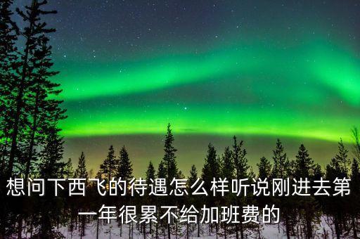 想問(wèn)下西飛的待遇怎么樣聽(tīng)說(shuō)剛進(jìn)去第一年很累不給加班費(fèi)的