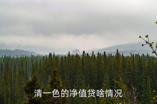 清一色的凈值貸啥情況