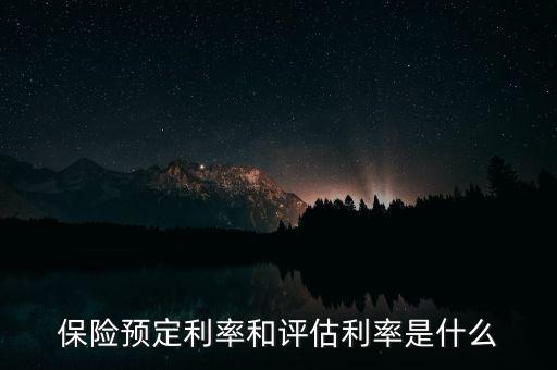 保險定價利率是什么，定價利率是什么意思