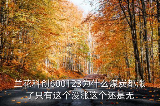 蘭花科創(chuàng)為什么不漲，601001怎么不漲啊