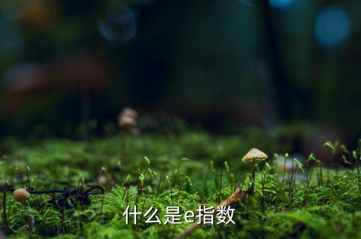 明晟指數(shù)是什么，行車記錄儀這個圖標(biāo)的含義是什么