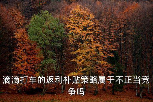 滴滴打車的返利補(bǔ)貼策略屬于不正當(dāng)競(jìng)爭嗎