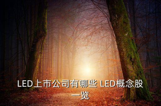 上市公司鴻什么視訊，視訊行業(yè)有哪些公司