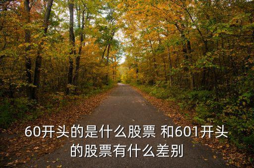 60開頭的是什么股票，60打頭的股票是什么意思