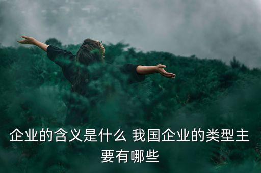 企業(yè)的含義是什么 我國企業(yè)的類型主要有哪些
