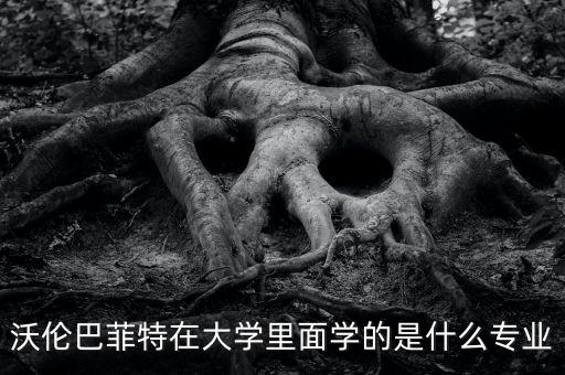 巴菲特學(xué)什么專(zhuān)業(yè)的，巴菲特是學(xué)什么專(zhuān)業(yè)畢業(yè)的