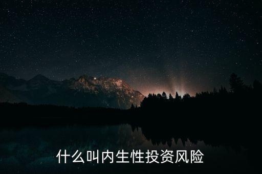 內(nèi)生性是什么意思，文化的內(nèi)生性