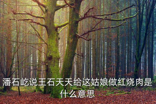 潘石屹說(shuō)王石天天給這姑娘做紅燒肉是什么意思