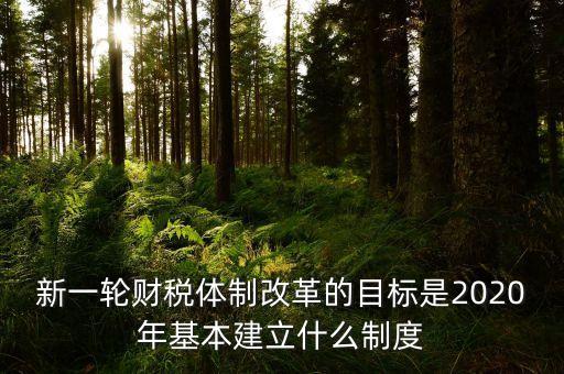 新一輪財(cái)稅體制改革的目標(biāo)是2020年基本建立什么制度