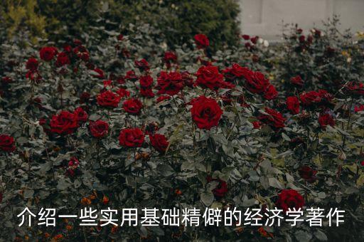 介紹一些實用基礎(chǔ)精僻的經(jīng)濟學著作