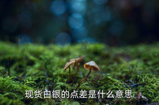 白銀的點(diǎn)差是什么意思，想做現(xiàn)貨白銀請(qǐng)問(wèn)里面的點(diǎn)差是什么意思呢