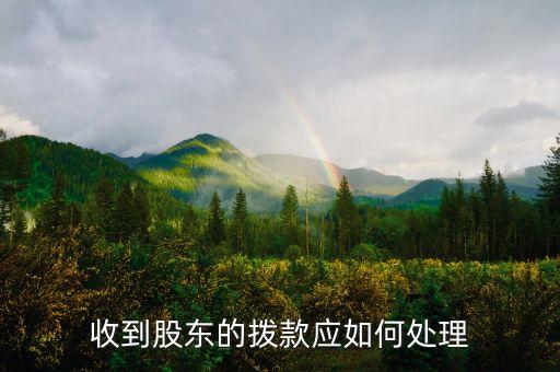 股東占款有什么會計處理方法，股份公司占用大股東資金豁免怎么做賬務(wù)處理