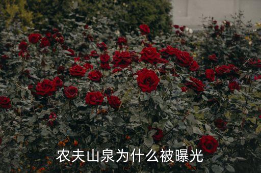 農(nóng)夫山泉為什么被曝光