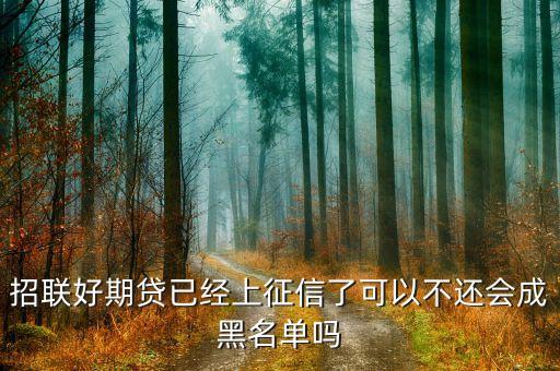 好期貸上征信怕什么，在招聯(lián)好期袋貸上面借錢都有按時歸還會上征信嗎會不會對以