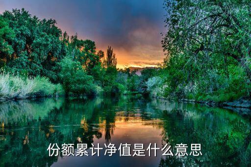 份額凈值是什么意思，基金份額凈值的基本定義