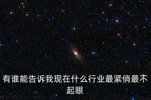 有誰(shuí)能告訴我現(xiàn)在什么行業(yè)最緊俏最不起眼