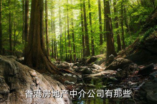 房地產(chǎn)經(jīng)紀(jì)在香港叫什么，香港房地產(chǎn)中介公司有那些