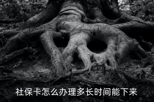 社保卡怎么辦理多長(zhǎng)時(shí)間能下來(lái)