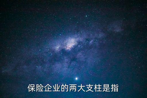 保險企業(yè)的兩大支柱是指