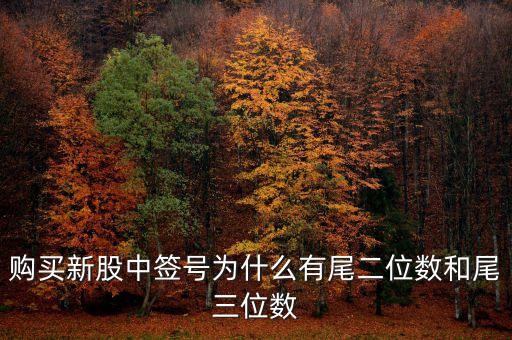 新股中簽號為什么是3位，購買新股中簽號為什么有尾二位數(shù)和尾三位數(shù)