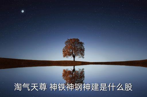 淘氣天尊 神鐵神鋼神建是什么股
