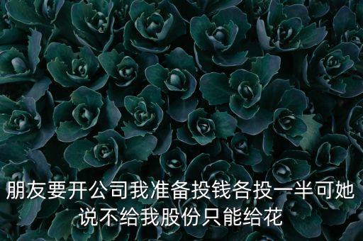 朋友要開(kāi)公司我準(zhǔn)備投錢(qián)各投一半可她說(shuō)不給我股份只能給花