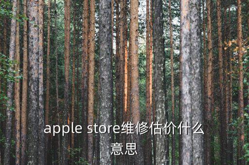 apple store維修估價什么意思
